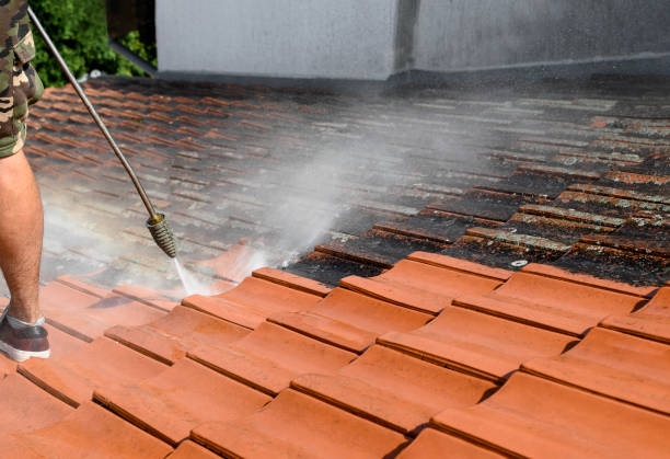 Best Pressure Washing Near Me  in Emmitsburg, MD